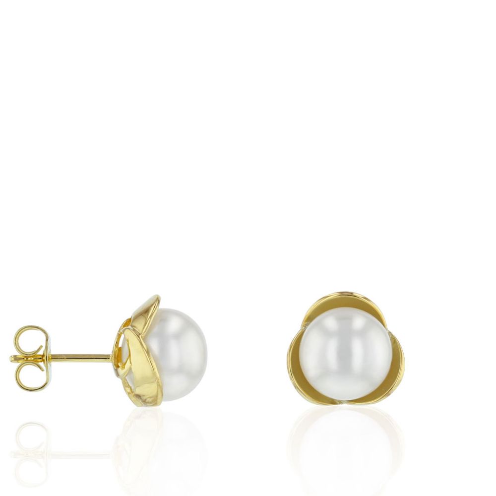 AURONOS pearl stud earrings in 14K yellow gold with freshwater pearls 8.5-9mm